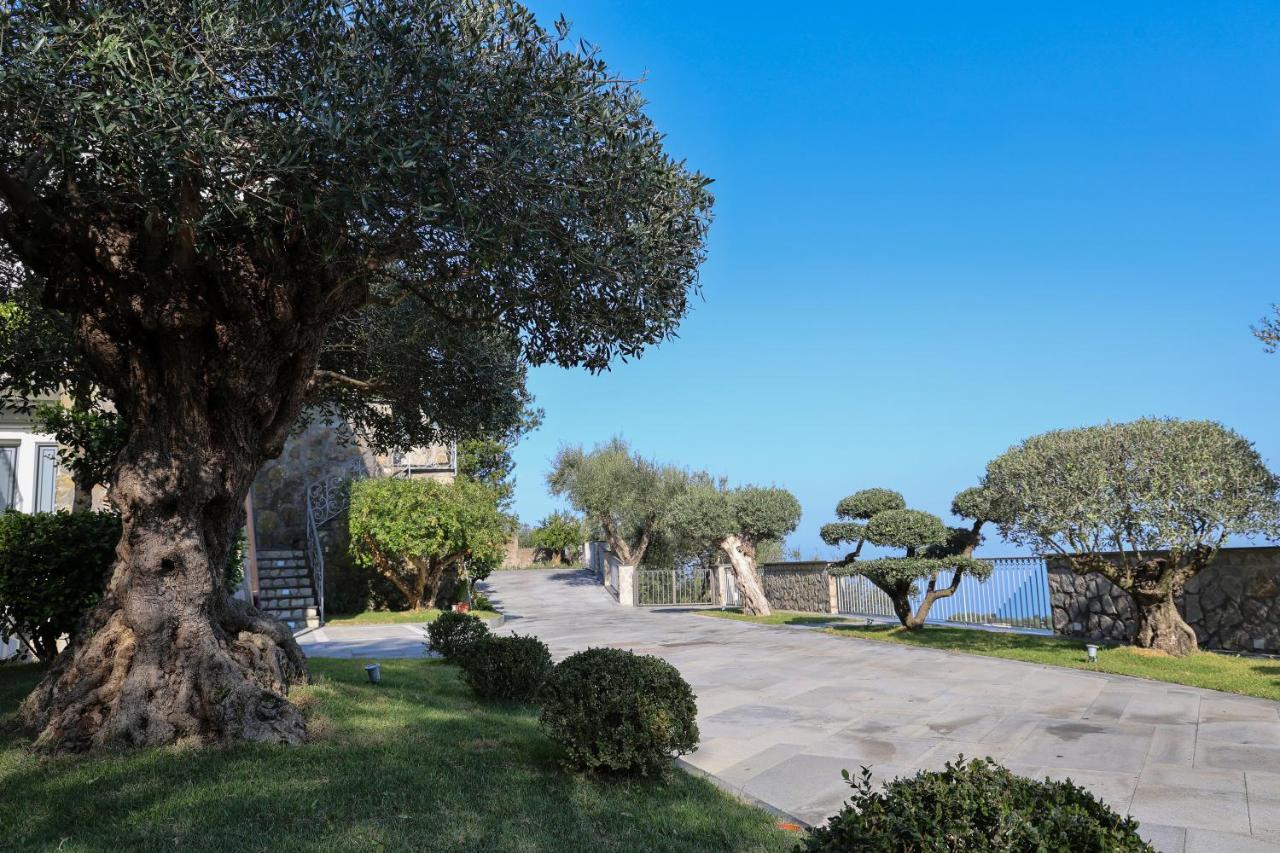 Villa Italia Sorrento Termini Dış mekan fotoğraf