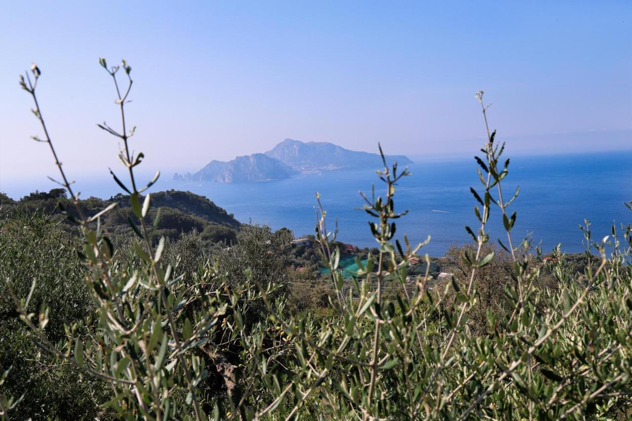 Villa Italia Sorrento Termini Dış mekan fotoğraf